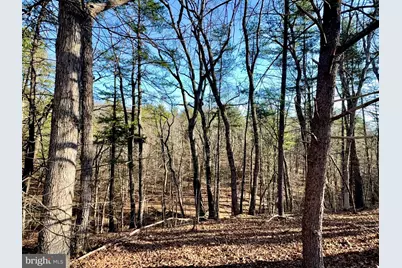 31307 Oldtown Road, Little Orleans, MD 21766 - Photo 51