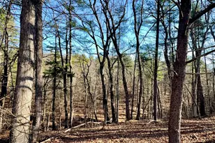 31307 Oldtown Rd, Little Orleans, MD 21766 - Photo 51