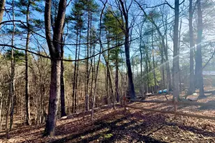 31307 Oldtown Rd, Little Orleans, MD 21766 - Photo 39