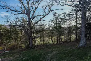 16529 Oak Crest Ln SW, Cresaptown, MD 21502 - Photo 29