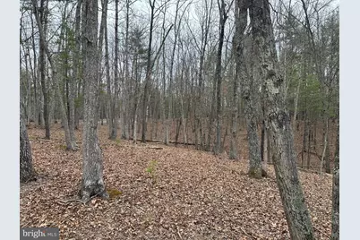 Oliver Beltz Road, Oldtown, MD 21555 - Photo 9