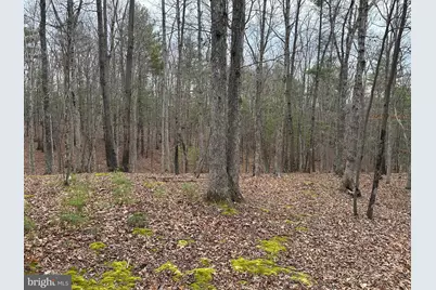 Oliver Beltz Road, Oldtown, MD 21555 - Photo 7