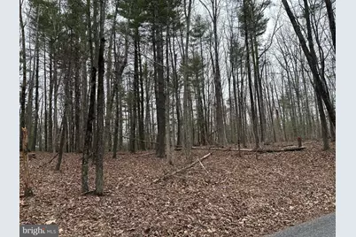 Oliver Beltz Road, Oldtown, MD 21555 - Photo 11