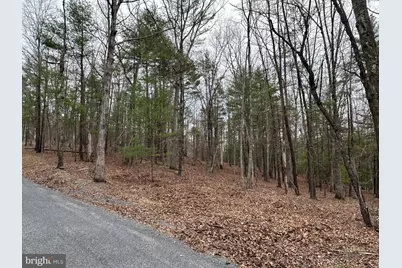 Oliver Beltz Road, Oldtown, MD 21555 - Photo 13