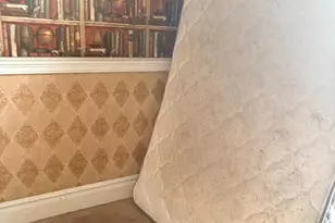 411 Pulaski St, Cumberland, MD 21502 - Photo 11