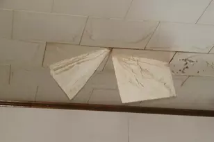 509 Maryland Ave, Westernport, MD 21562 - Photo 15