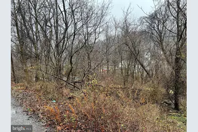 Pauline Avenue, Corriganville, MD 21524 - Photo 11