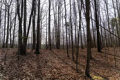 Walnut Ridge Road SE, Oldtown, MD 21555 - Photo 9