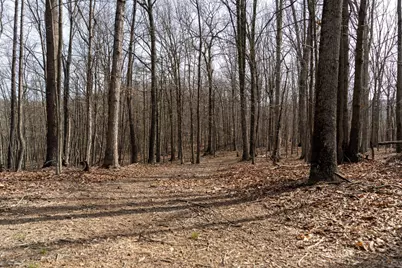 Walnut Ridge Road SE, Oldtown, MD 21555 - Photo 3