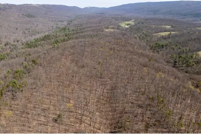 Walnut Ridge Road SE, Oldtown, MD 21555 - Photo 13