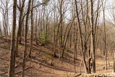 Walnut Ridge Road SE, Oldtown, MD 21555 - Photo 11