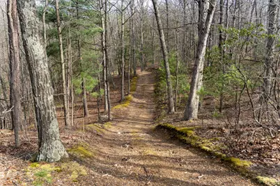 Walnut Ridge Road SE, Oldtown, MD 21555 - Photo 7