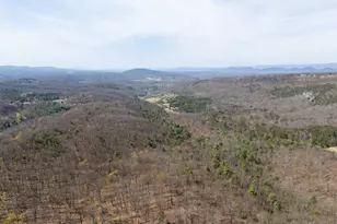 Walnut Ridge Road SE, Oldtown, MD 21555 - Photo 1