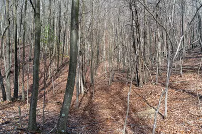 Walnut Ridge Road SE, Oldtown, MD 21555 - Photo 5