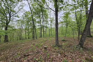 11900 Messick Rd SE, Cumberland, MD 21502 - Photo 57