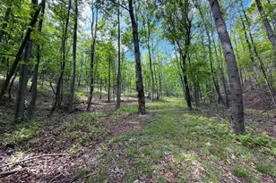 12717 N Cresap St, Cumberland, MD 21502 - Photo 89