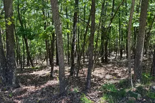 12717 N Cresap St, Cumberland, MD 21502 - Photo 59