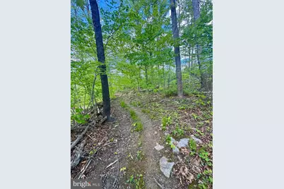 20102 Rock Oak Road SW, Barton, MD 21521 - Photo 17