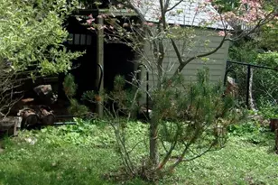223 Armstrong Ave, Frostburg, MD 21532 - Photo 41