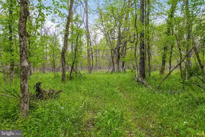 Bear Hill Road SE, Oldtown, MD 21555 - Photo 7