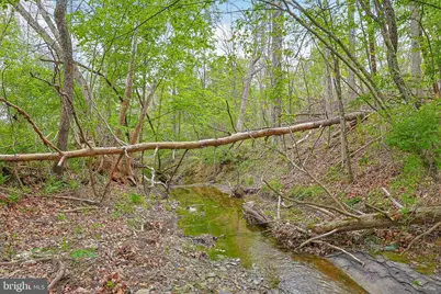 Bear Hill Road SE, Oldtown, MD 21555 - Photo 11