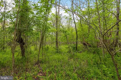 Bear Hill Road SE, Oldtown, MD 21555 - Photo 9