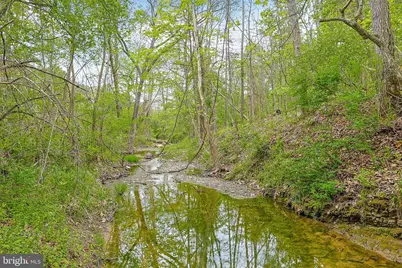 Bear Hill Road SE, Oldtown, MD 21555 - Photo 3