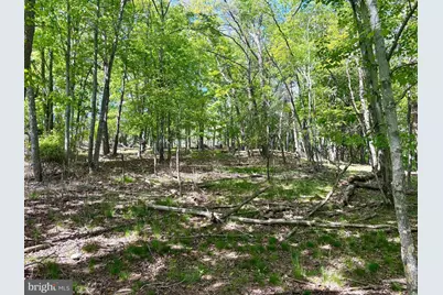 Robinhood Drive, Lavale, MD 21502 - Photo 7