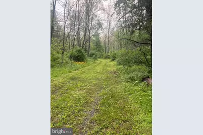 0 Sidling Hill Creek Road, Little Orleans, MD 21766 - Photo 3