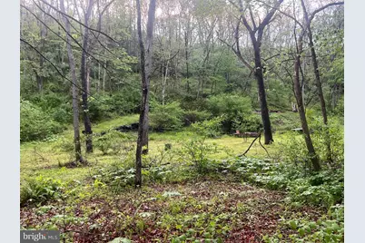 0 Sidling Hill Creek Road, Little Orleans, MD 21766 - Photo 1