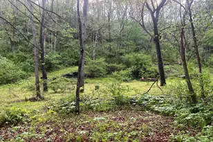 0 Sidling Hill Creek Rd, Little Orleans, MD 21766 - Photo 1