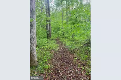 0 Sidling Hill Creek Road, Little Orleans, MD 21766 - Photo 11