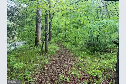 0 Sidling Hill Creek Road, Little Orleans, MD 21766 - Photo 17