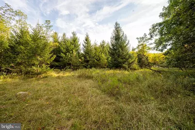 15800 Sprucewood Drive, Frostburg, MD 21532 - Photo 47