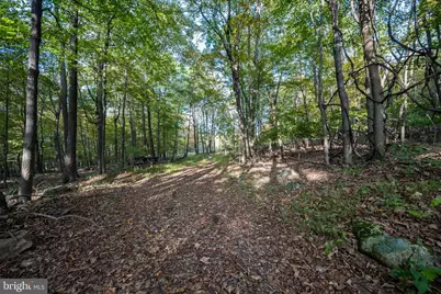 15800 Sprucewood Drive, Frostburg, MD 21532 - Photo 35