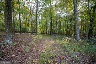 15800 Sprucewood Drive, Frostburg, MD 21532 - Photo 43
