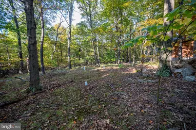 15800 Sprucewood Drive, Frostburg, MD 21532 - Photo 67