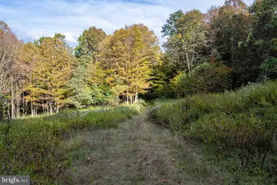 15800 Sprucewood Drive, Frostburg, MD 21532 - Photo 41