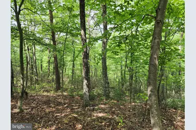 94 Acres Moores Hollow Road, Cumberland, MD 21502 - Photo 19