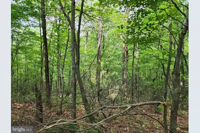 94 Acres Moores Hollow Road, Cumberland, MD 21502 - Photo 17