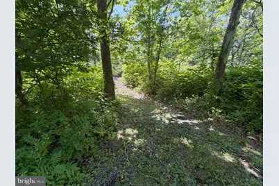 00 Westernport Road SW, Westernport, MD 21562 - Photo 27