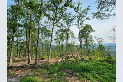 27406 Sulphur Springs Road SE, Oldtown, MD 21555 - Photo 69