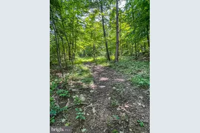 25413 Sisler Hill Road, Westernport, MD 21562 - Photo 5