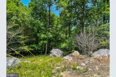 25413 Sisler Hill Road, Westernport, MD 21562 - Photo 5