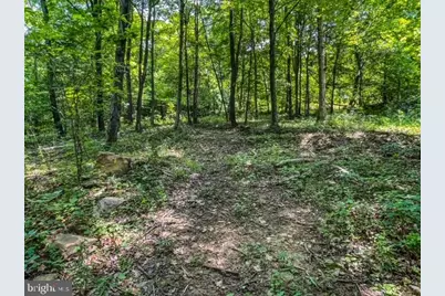25413 Sisler Hill Road, Westernport, MD 21562 - Photo 3