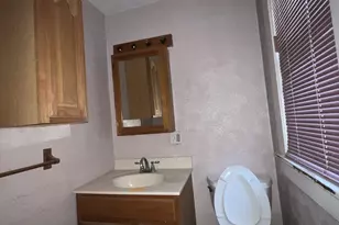303 Maryland Ave, Westernport, MD 21562 - Photo 15