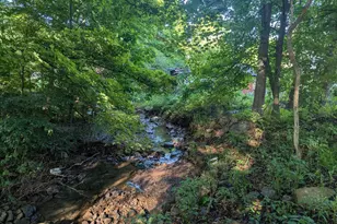 16911 Dutch Hollow Rd, Mount Savage, MD 21545 - Photo 11