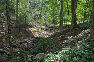 12802 Gramlich Rd SW, Lavale, MD 21502 - Photo 19