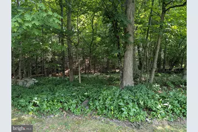 12802 Gramlich Road SW, Lavale, MD 21502 - Photo 17