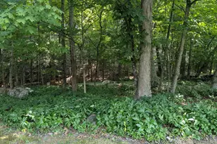 12802 Gramlich Rd SW, Lavale, MD 21502 - Photo 17